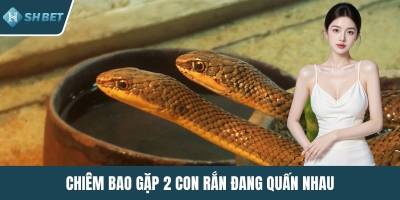 Chiêm bao gặp 2 con rắn đang quấn nhau