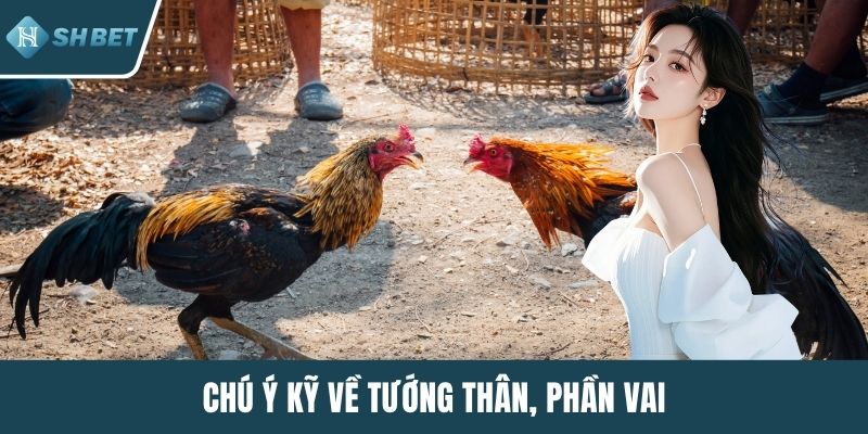 Chú ý kỹ về tướng thân, phần vai