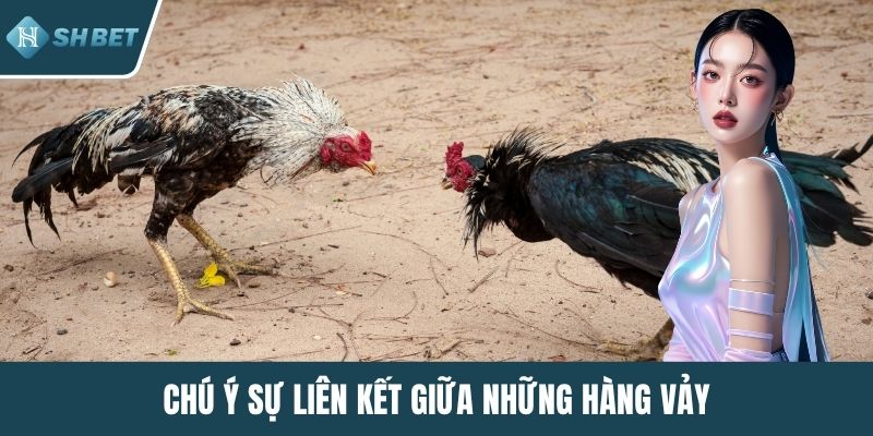 Chú ý sự liên kết giữa những hàng vảy