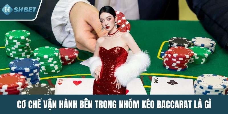Cơ chế vận hành bên trong nhóm kéo baccarat là gì