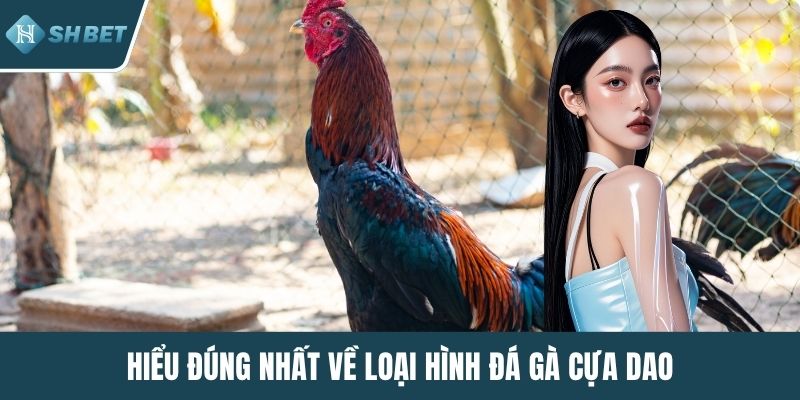 Hiểu đúng nhất về loại hình đá gà cựa dao