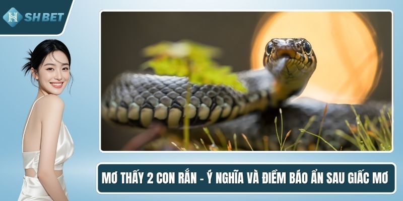 Mơ thấy 2 con rắn