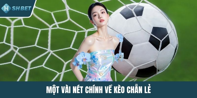 Một vài nét chính về kèo chẵn lẻ