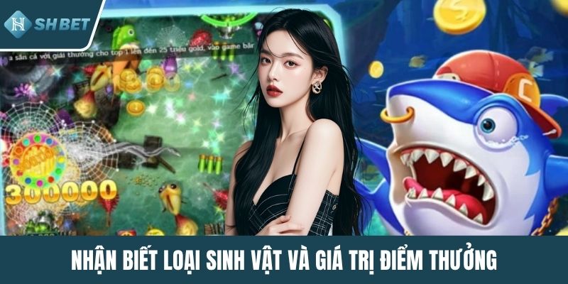 Nhận biết loại sinh vật và giá trị điểm thưởng