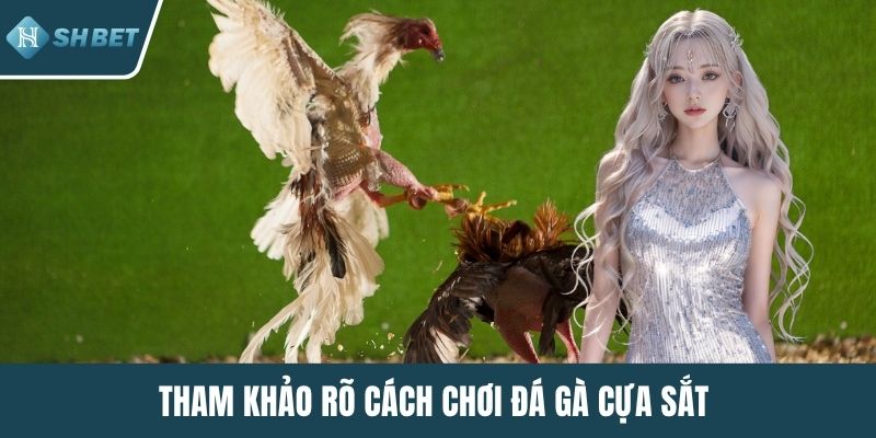 Tham khảo rõ cách chơi đá gà cựa sắt
