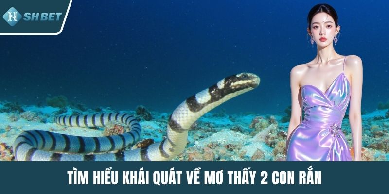 Tìm hiểu khái quát về mơ thấy 2 con rắn