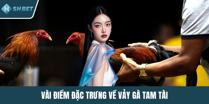 Vài điểm đặc trưng về vảy gà tam tài