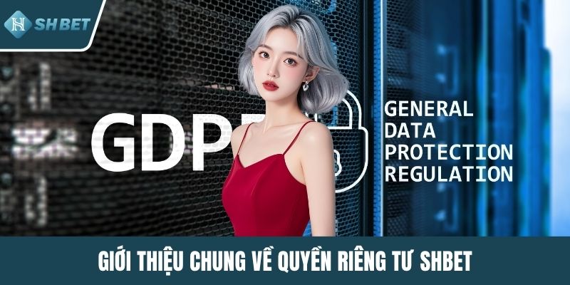 Giới thiệu chung về quyền riêng tư SHBET